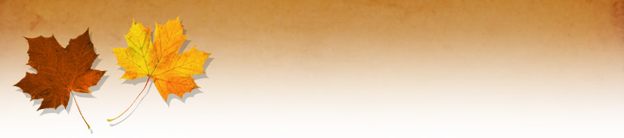 �����̐����I�炪�������y���߂闷�s�v�������Љ�